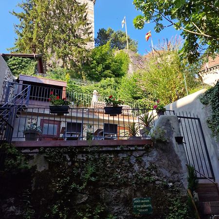 Le Enecy - Spa - Coeur Vieille Ville 阿讷西 外观 照片