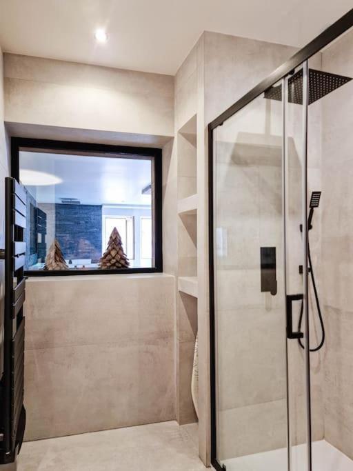 Le Enecy - Spa - Coeur Vieille Ville 阿讷西 外观 照片